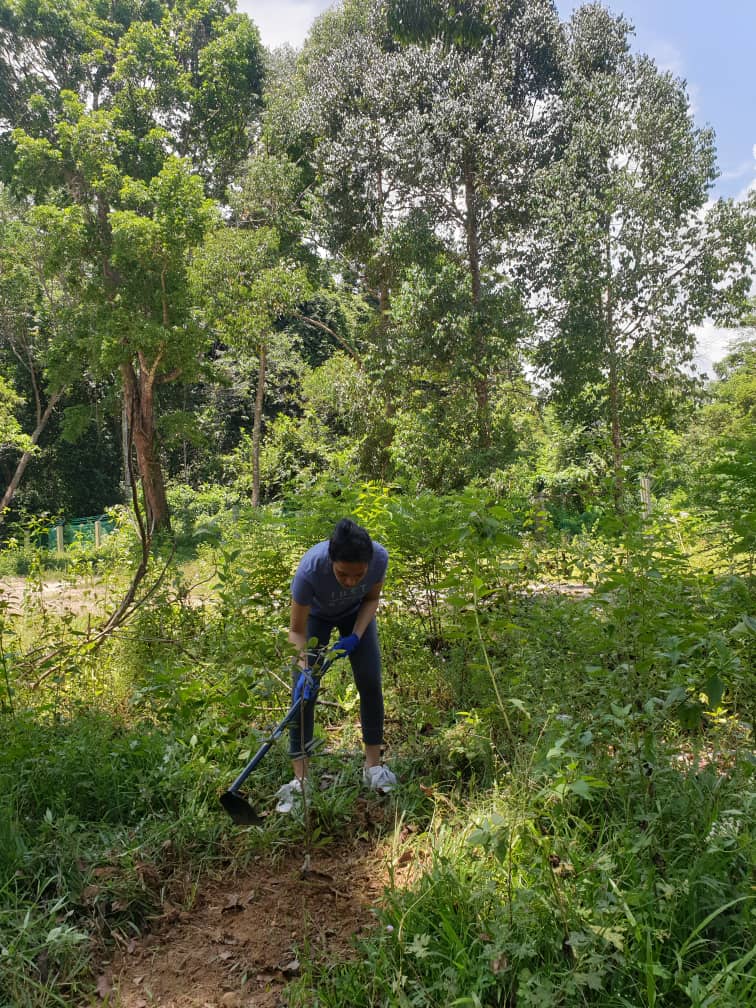 Bee Conservation Project - EAST HONEY AND HERB ENTERPRISE